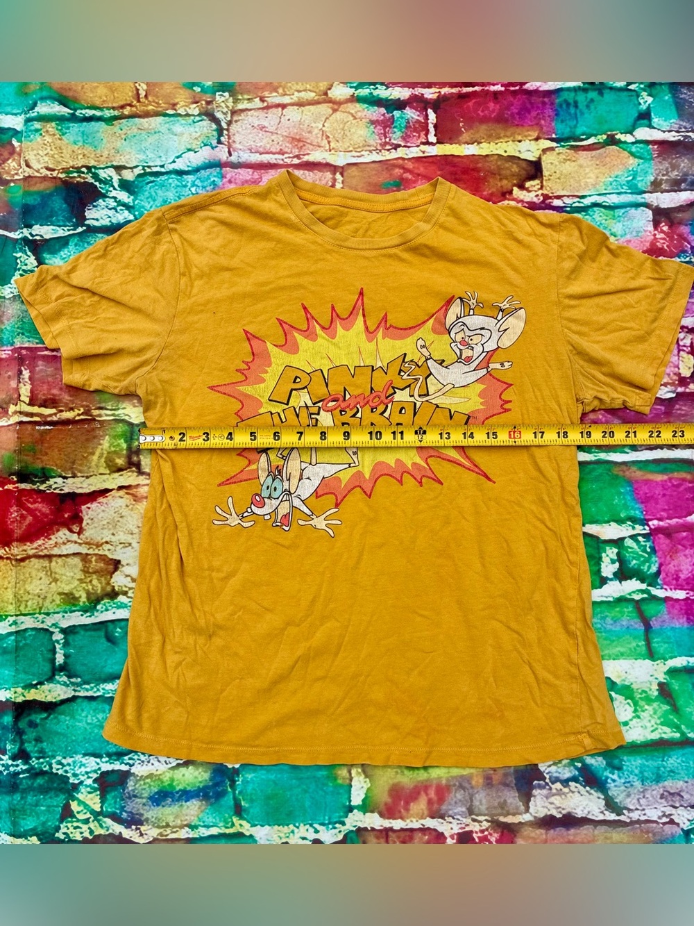 Pinky and the brain cartoon vintage retro 90’s see photos for measurements